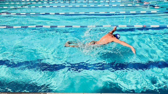 Butterfly from above